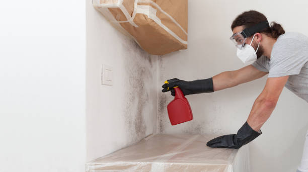 Professional Basement Mold Remediation technician working in Fort Bragg, NC